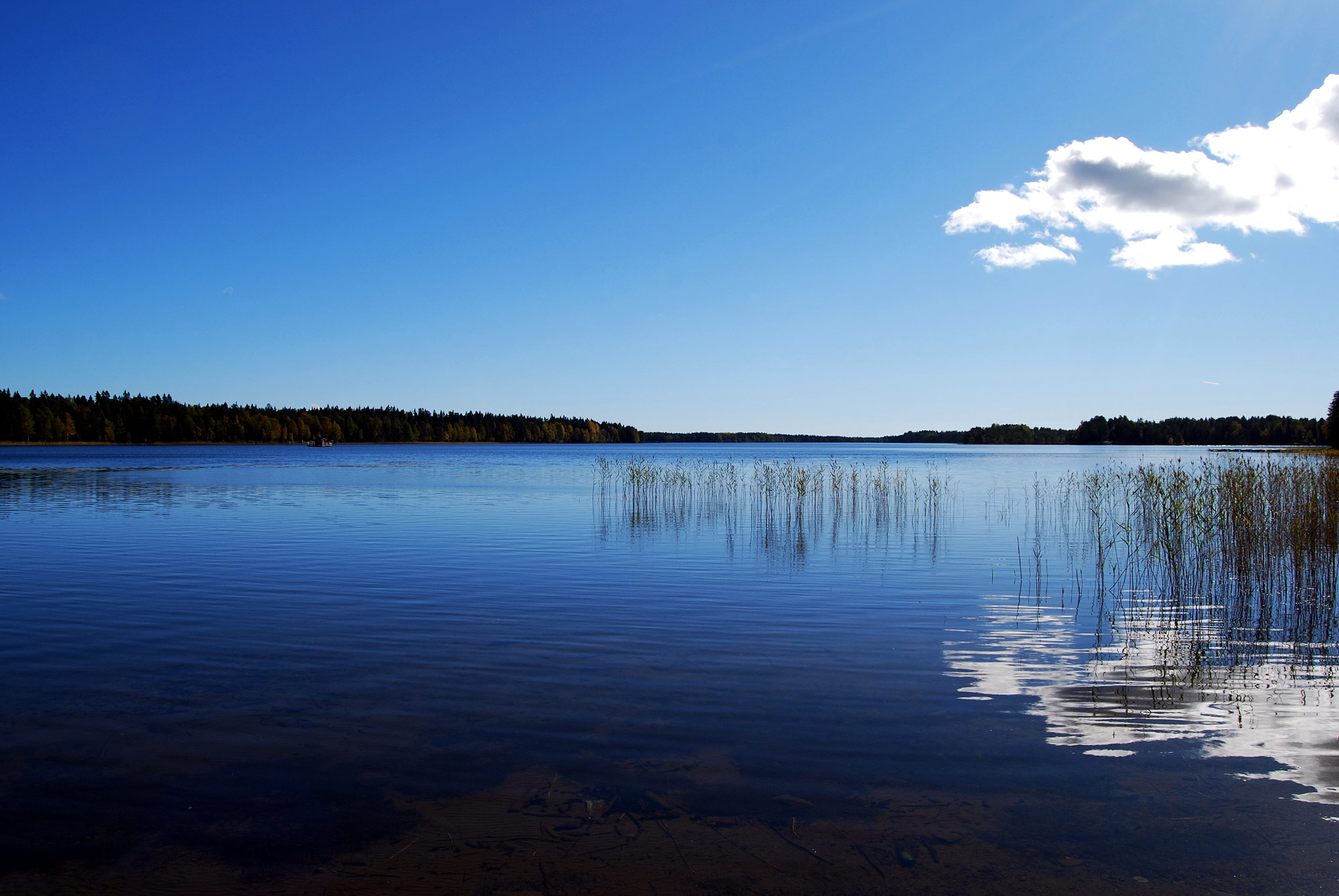 Nydalasjön, Umeå